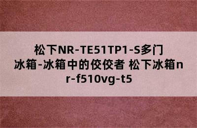 松下NR-TE51TP1-S多门冰箱-冰箱中的佼佼者 松下冰箱nr-f510vg-t5